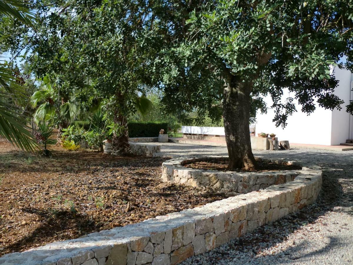 Villa Sa Vinyeta Sant Llorenç de Balàfia Exteriér fotografie
